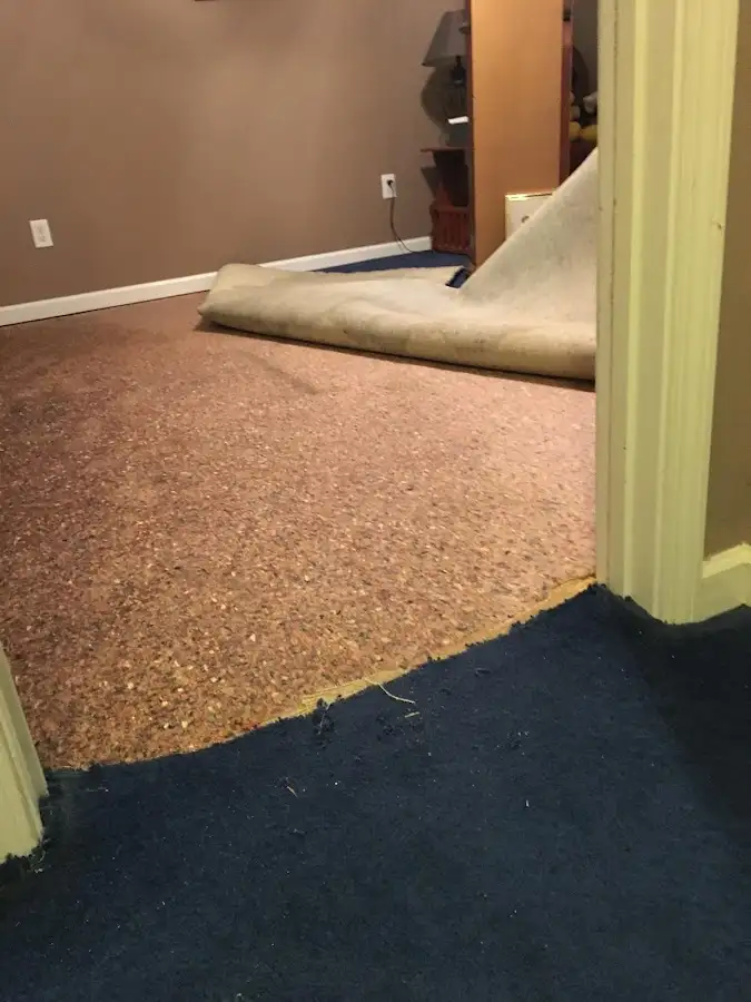 Carpet pad removal revealing water damage during Drying & Dehumidification in Windsor