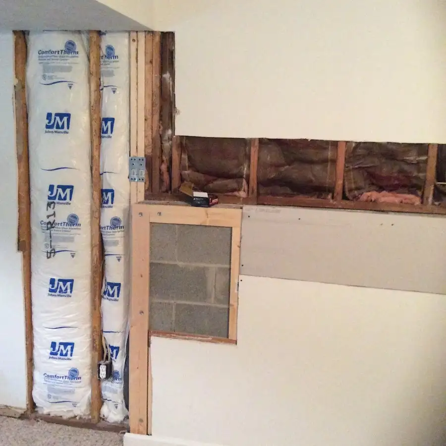 Wall insulation replacement during Odor Removal & Deodorization in Windsor